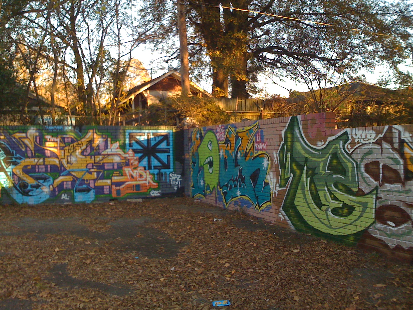 11/29/2009: Cooper-Young graffiti